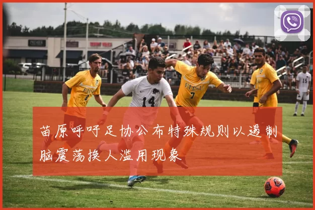 苗原呼吁足协公布特殊规则以遏制脑震荡换人滥用现象