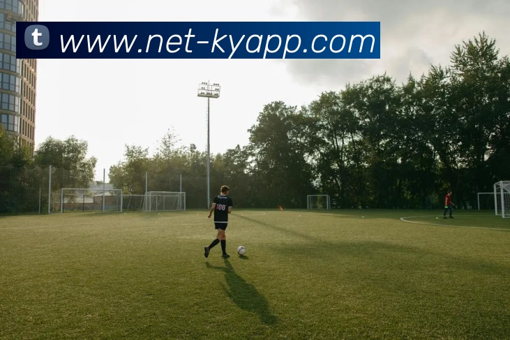 开云体育平台生态图