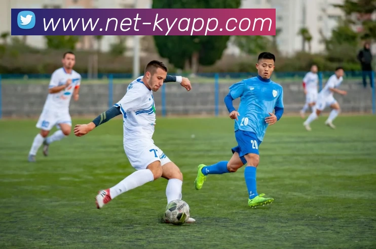 开云体育APP 封面图